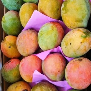 مانجو فونس