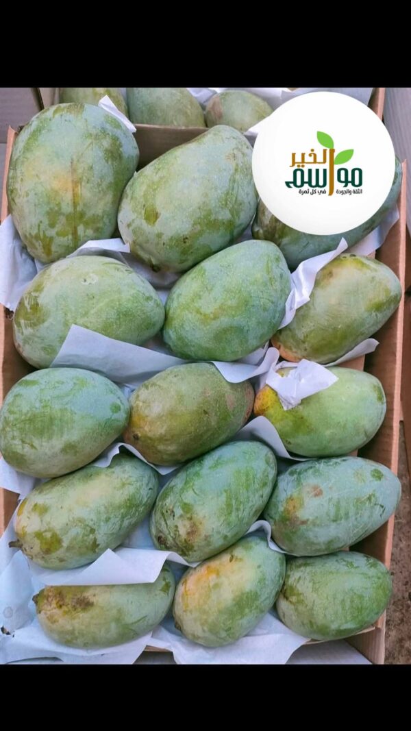 مانجو زبدية - Image 2