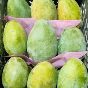 مانجو زبدية