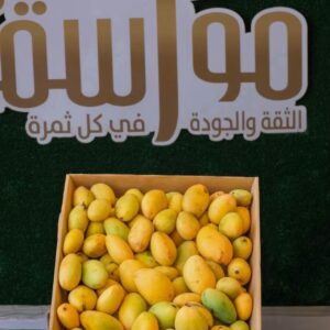 مانجو فص عويس تصدير