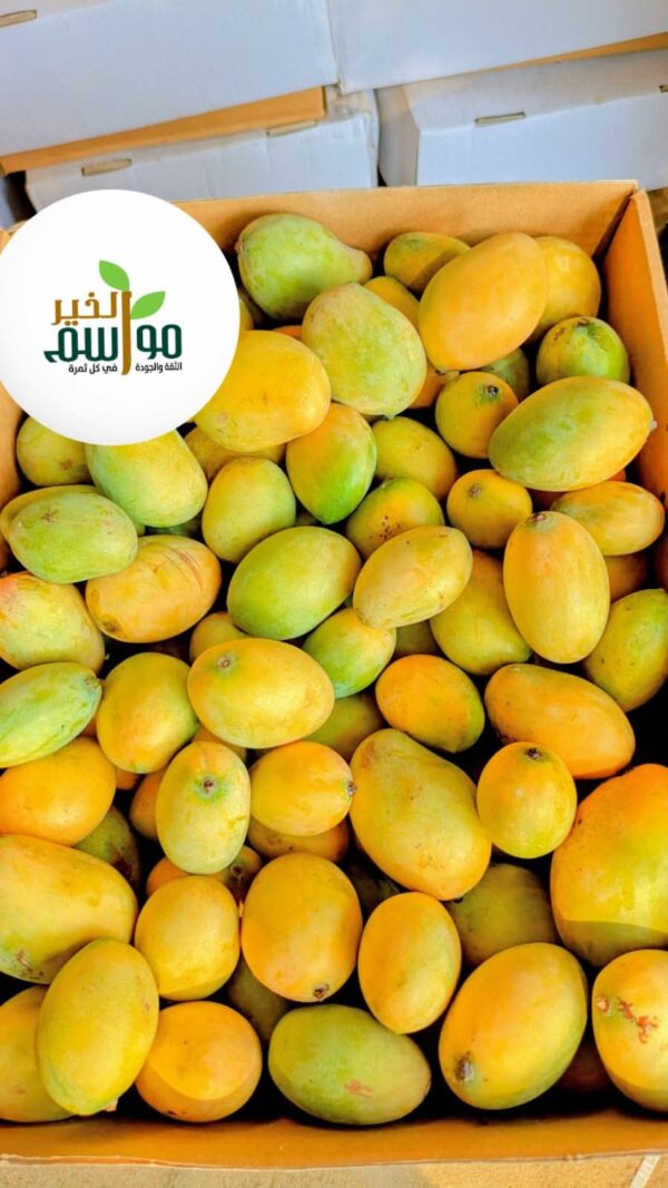 مانجو فص عويس - Image 2
